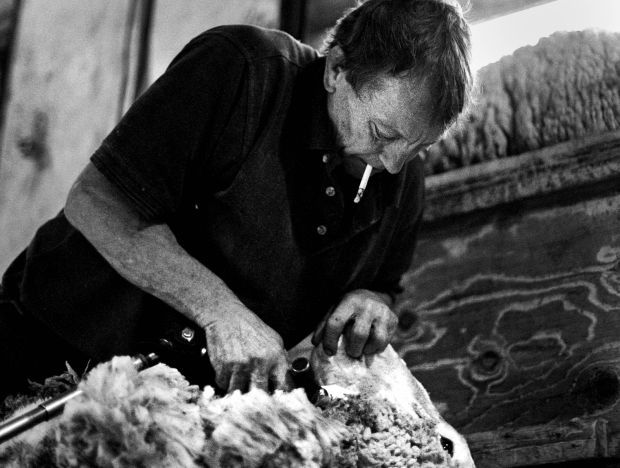 Shearing
